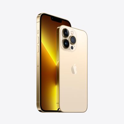 Фото 2 — Смартфон Apple iPhone 13 Pro 128GB Золотой